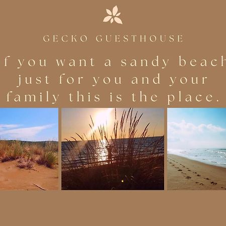 Gecko guesthouse Agios Nikolaos  Eksteriør billede
